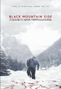 Black Mountain Side (2014)