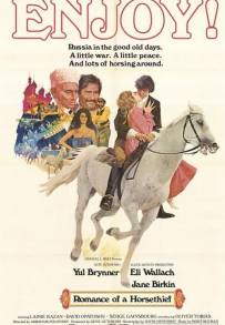 Il romanzo di un ladro di cavalli (1971)