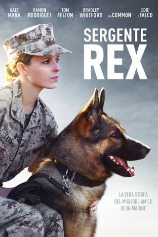 Sergente Rex [HD] (2017 CB01)