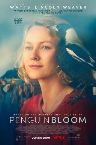 Penguin Bloom [HD] (2021 CB01)