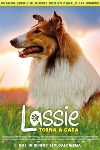 Lassie torna a casa [HD] (2020 CB01)
