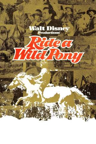 A cavallo di un pony selvaggio [HD] (1975 CB01)