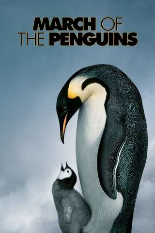 La marcia dei pinguini [HD] (2005 CB01)