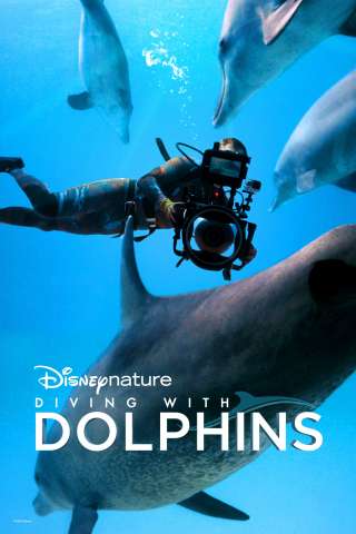 Il mondo nascosto dei delfini [HD] (2020 CB01)