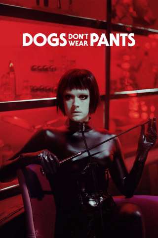 Dogs Don't Wear Pants [HD] (2019 CB01)