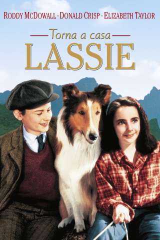 Torna a casa Lassie! [HD] (1943 CB01)