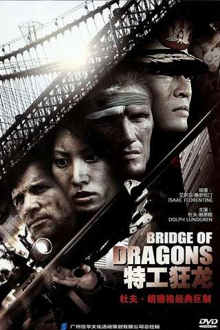 Il ponte del dragone [HD] (1999 CB01)