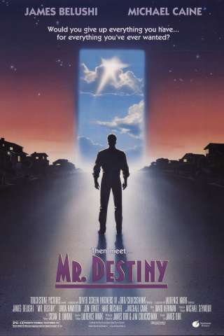 Mr. Destiny [HD] (1990 CB01)