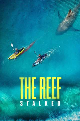 The Reef: intrappolate [HD] (2022 CB01)