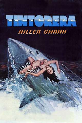 Tintorera: Killer Shark [HD] (1977 CB01)