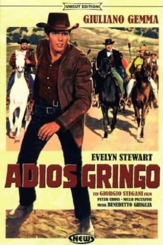Adios Gringo [SD] (1965 CB01)
