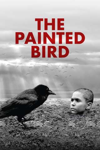 The Painted Bird - Nabarvené ptáče [HD] (2019 CB01)