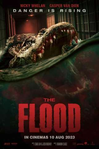 Alligator - The Flood [HD] (2023 CB01)
